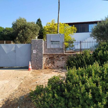 Cap Sounion Seafront Apartments -Adults Only Zewnętrze zdjęcie