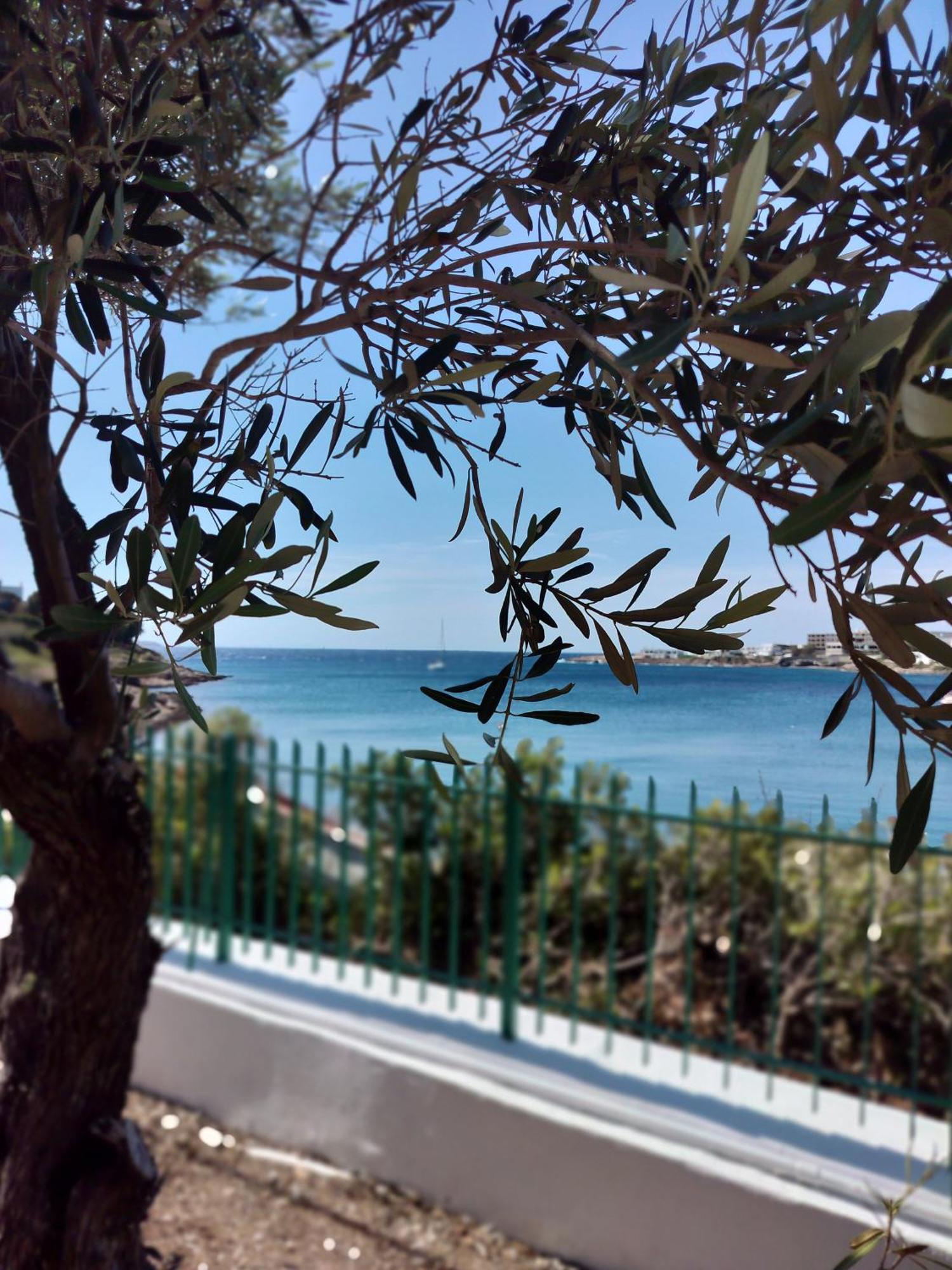Cap Sounion Seafront Apartments -Adults Only Zewnętrze zdjęcie
