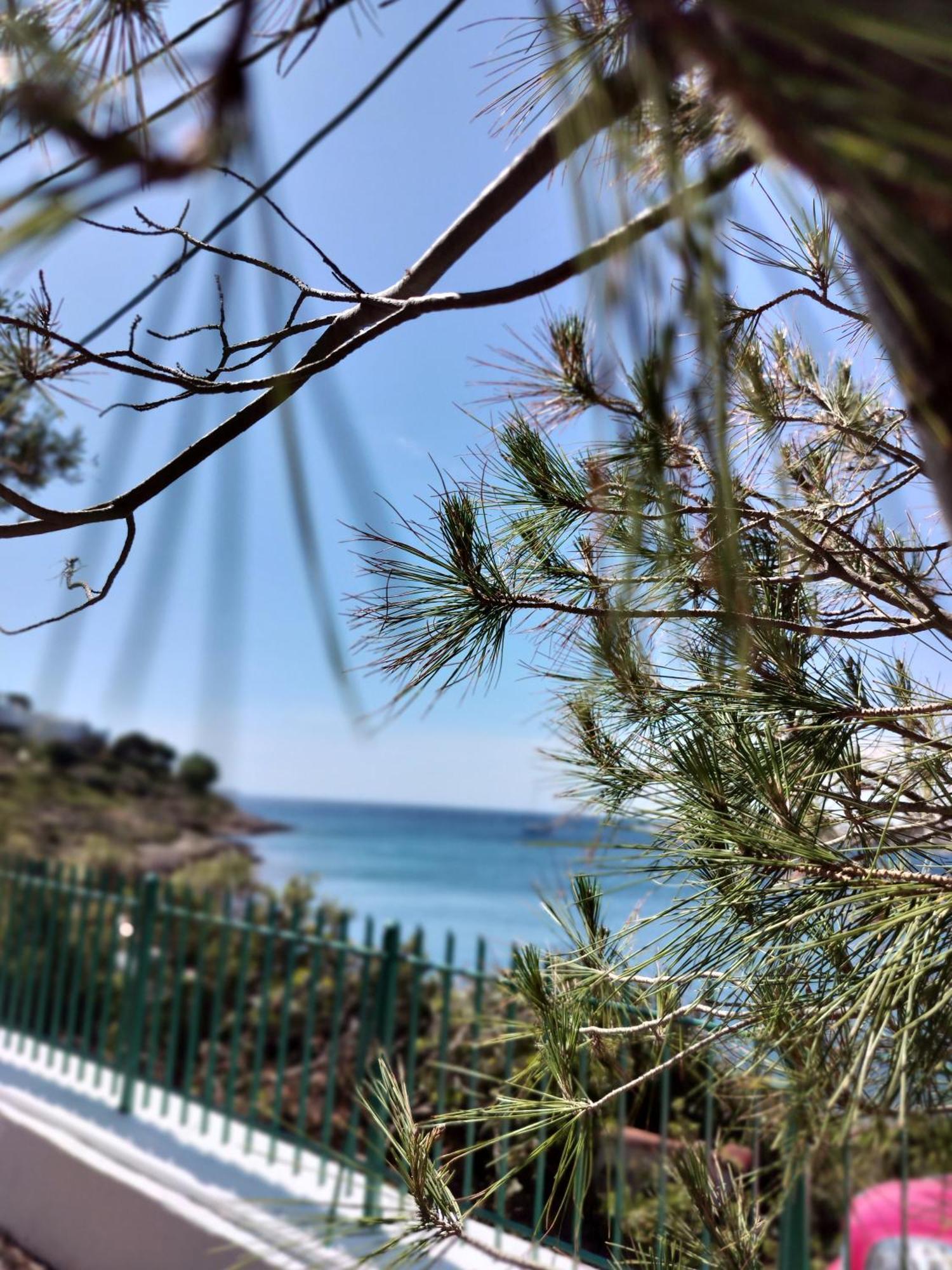 Cap Sounion Seafront Apartments -Adults Only Zewnętrze zdjęcie